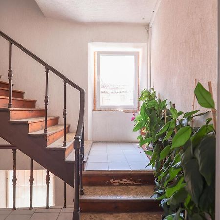 Cozy Studio Cvita Zadar Bagian luar foto